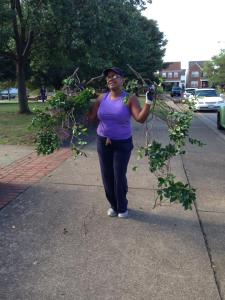 10678633_955375994489623_1914174841764815062_n