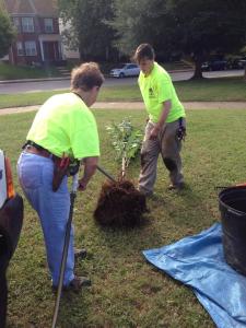 1472796_955376051156284_573797338189380092_n